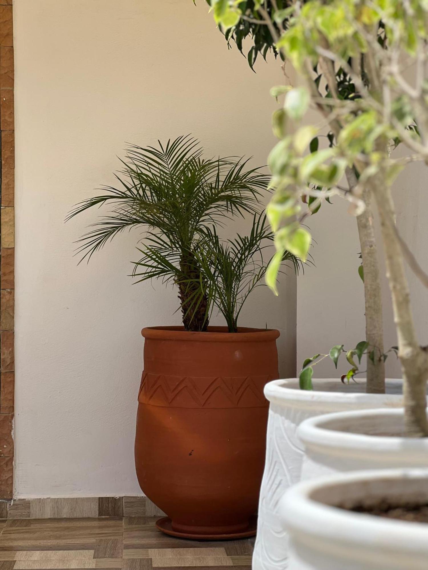 Riad Safia Rabat Kültér fotó